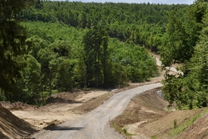 Новини Вінниці / На Вінниччині через ліс будують нову дорогу