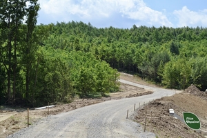 Новини Вінниці / На Вінниччині через ліс будують нову дорогу
