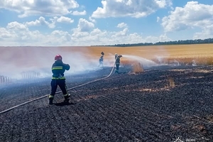 Новости Винницы и области / На Вінниччині горіло пшеничне поле: знищено 2 гектари врожаю / Інформаційний портал На Париже Новини Вінниці / На Вінниччині горіло пшеничне поле: знищено 2 гектари врожаю