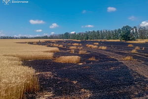 Новости Винницы и области / На Вінниччині горіло пшеничне поле: знищено 2 гектари врожаю / Інформаційний портал На Париже Новини Вінниці / На Вінниччині горіло пшеничне поле: знищено 2 гектари врожаю
