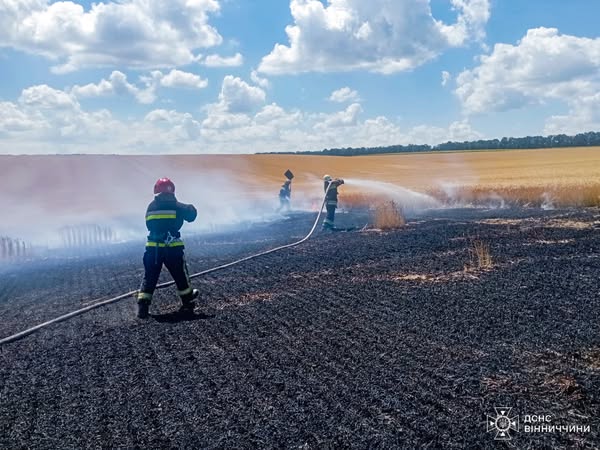 На Вінниччині горіло пшеничне поле: знищено 2 гектари врожаю / Новости Винницы и области / Інформаційний портал На Париже Новини Вінниці / На Вінниччині горіло пшеничне поле: знищено 2 гектари врожаю
