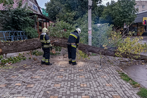 Новини Вінниці / Наслідки негоди на Вінниччині: падали дерева, затопило будинки та дитячий садочок