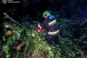 Новини Вінниці / Наслідки негоди на Вінниччині: падали дерева, затопило будинки та дитячий садочок