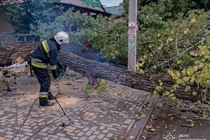 Новини Вінниці / Наслідки негоди на Вінниччині: падали дерева, затопило будинки та дитячий садочок