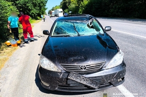 Новини Вінниці / Смертельна ДТП поблизу Літина: загинув велосипедист 