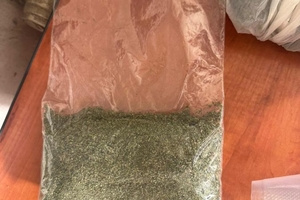 Новини Вінниці / Вирощували вдома канабіс на продаж: прокурори повідомили про підозру двом жителям Гнівані