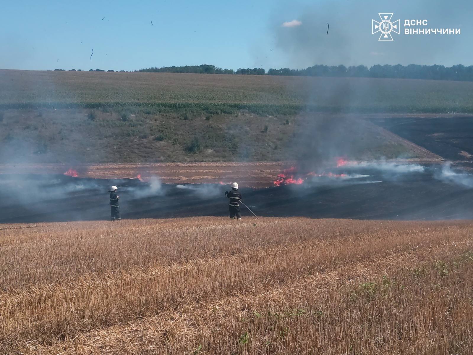 Новини Вінниці / На Вінниччині 15 серпня рятувальники ліквідували вісім пожеж