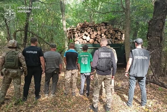 Новини Вінниці / На Вінниччині затримано групу «чорних лісорубів», що знищували Нацпарк «Кармелюкове Поділля»