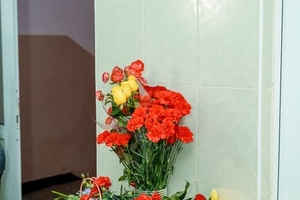 Новини Вінниці / У Вінниці відкрили меморіальну дошку видатному хірургу Аркадію Годлевському