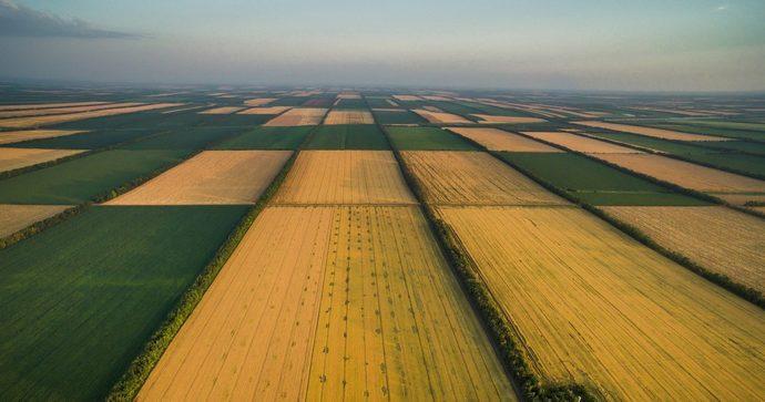 Новини Вінниці / На Вінниччині викрили масштабні земельні махінації: 136 гектарів вибули незаконно