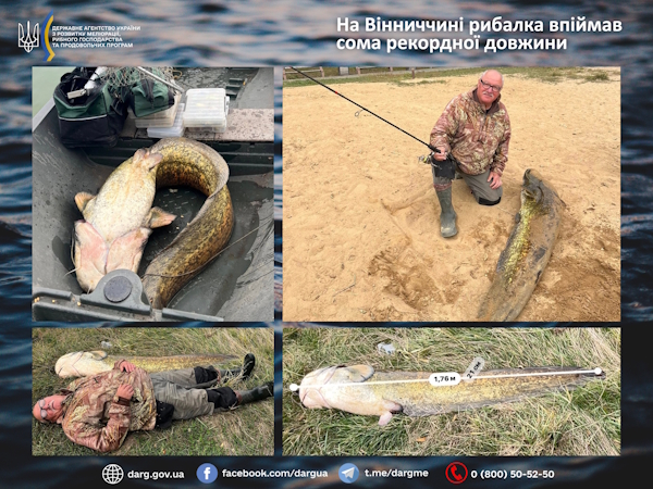 Новини Вінниці / Рибалка з Бершаді спіймав сома довжиною майже 1,8 метра