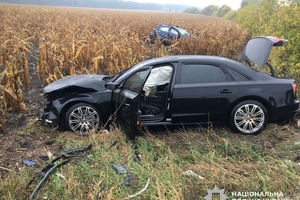 Новини Вінниці / У Гайсинському районі затримали водія Audi, який спричинив смертельну ДТП