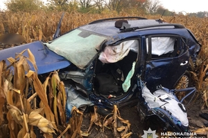 Новини Вінниці / У Гайсинському районі затримали водія Audi, який спричинив смертельну ДТП