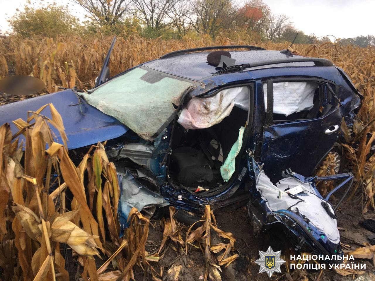 Новини Вінниці / У Гайсинському районі затримали водія Audi, який спричинив смертельну ДТП