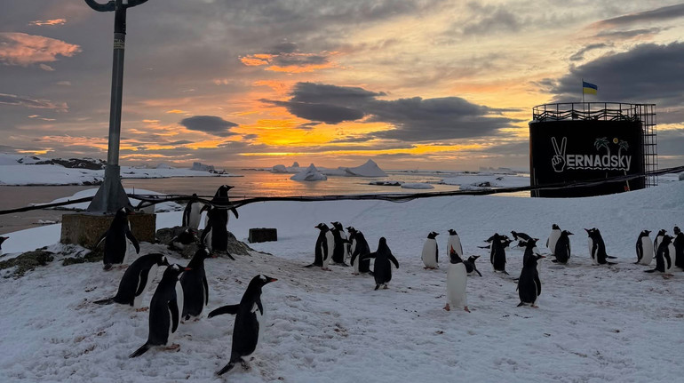 Учні 5-11 класів запрошуються на пряму трансляцію з Антарктики / Новости Винницы и области / Інформаційний портал На Париже Новини Вінниці / Учні 5-11 класів запрошуються на пряму трансляцію з Антарктики
