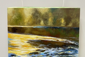 Новини Вінниці / Вінничан та гостей міста запрошують на виставку «Ніжність кольором» Наталії Вусик 