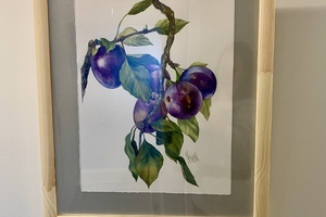 Новини Вінниці / Вінничан та гостей міста запрошують на виставку «Ніжність кольором» Наталії Вусик 