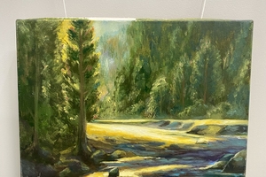 Новини Вінниці / Вінничан та гостей міста запрошують на виставку «Ніжність кольором» Наталії Вусик 