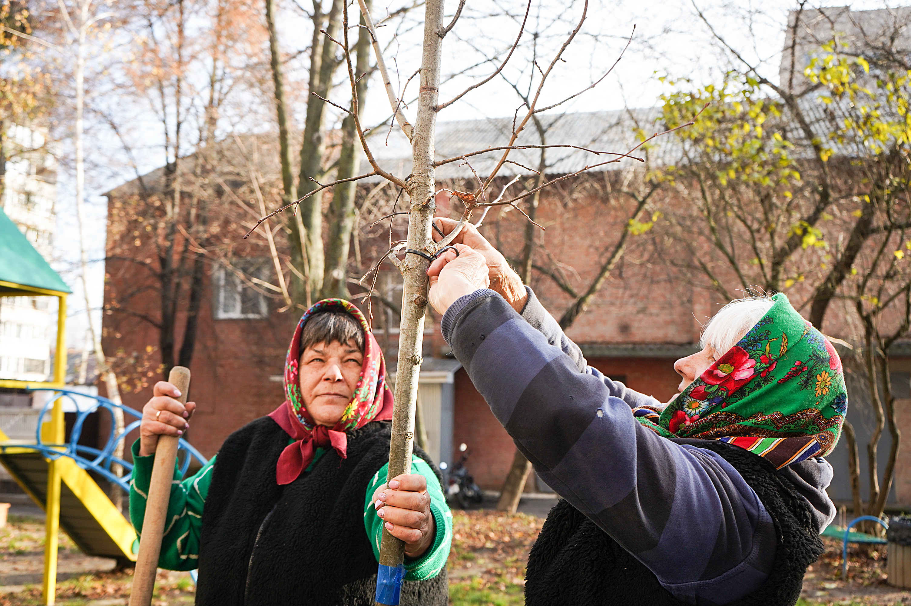 Вінниця стане зеленішою: 500 дерев біля будинків / Новости Винницы и области / Інформаційний портал На Париже Новини Вінниці / Вінниця стане зеленішою: 500 дерев біля будинків