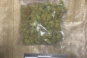 Новости Винницы и области / У Вінниці поліція затримала чоловіка за розповсюдження канабісу / Інформаційний портал На Париже Новини Вінниці / У Вінниці поліція затримала чоловіка за розповсюдження канабісу