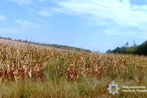 Новости Винницы и области / На Вінниччині трьох осіб судитимуть за самовільне захоплення земель нацпарку «Кармелюкове Поділля» / Інформаційний портал На Париже Новини Вінниці / На Вінниччині трьох осіб судитимуть за самовільне захоплення земель нацпарку «Кармелюкове Поділля»