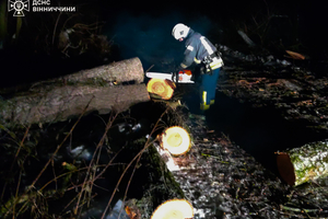 Новини Вінниці / Рятувальники Вінниччини 14 разів виїжджали на ліквідацію наслідків ожеледиці