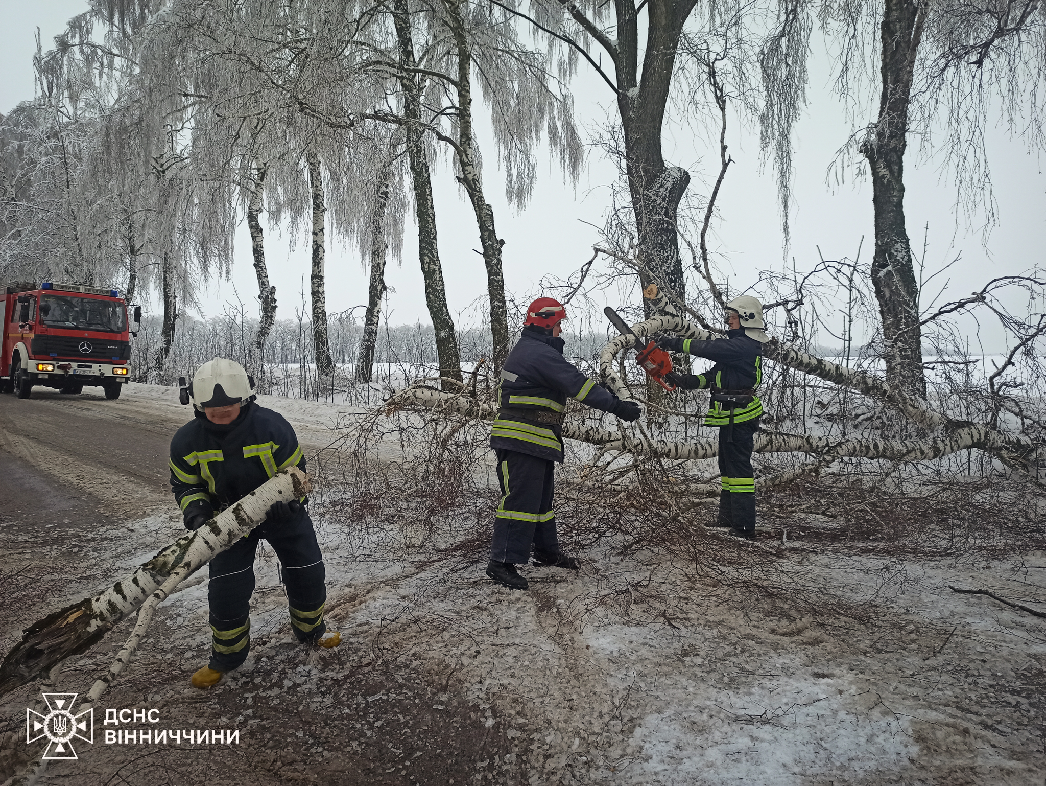 Новини Вінниці / Рятувальники Вінниччини 14 разів виїжджали на ліквідацію наслідків ожеледиці