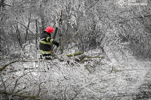 Новини Вінниці / Рятувальники Вінниччини 14 разів виїжджали на ліквідацію наслідків ожеледиці
