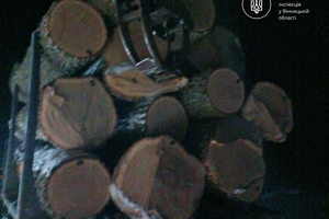 Новости Винницы и области / У Жмеринському районі зупинили незаконне перевезення дубової деревини / Інформаційний портал На Париже Новини Вінниці / У Жмеринському районі зупинили незаконне перевезення дубової деревини