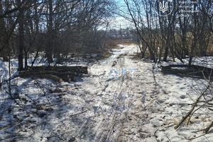 Новини Вінниці / Екологи спіймали чоловіка під час незаконної порубки акацій у Вінницькому районі