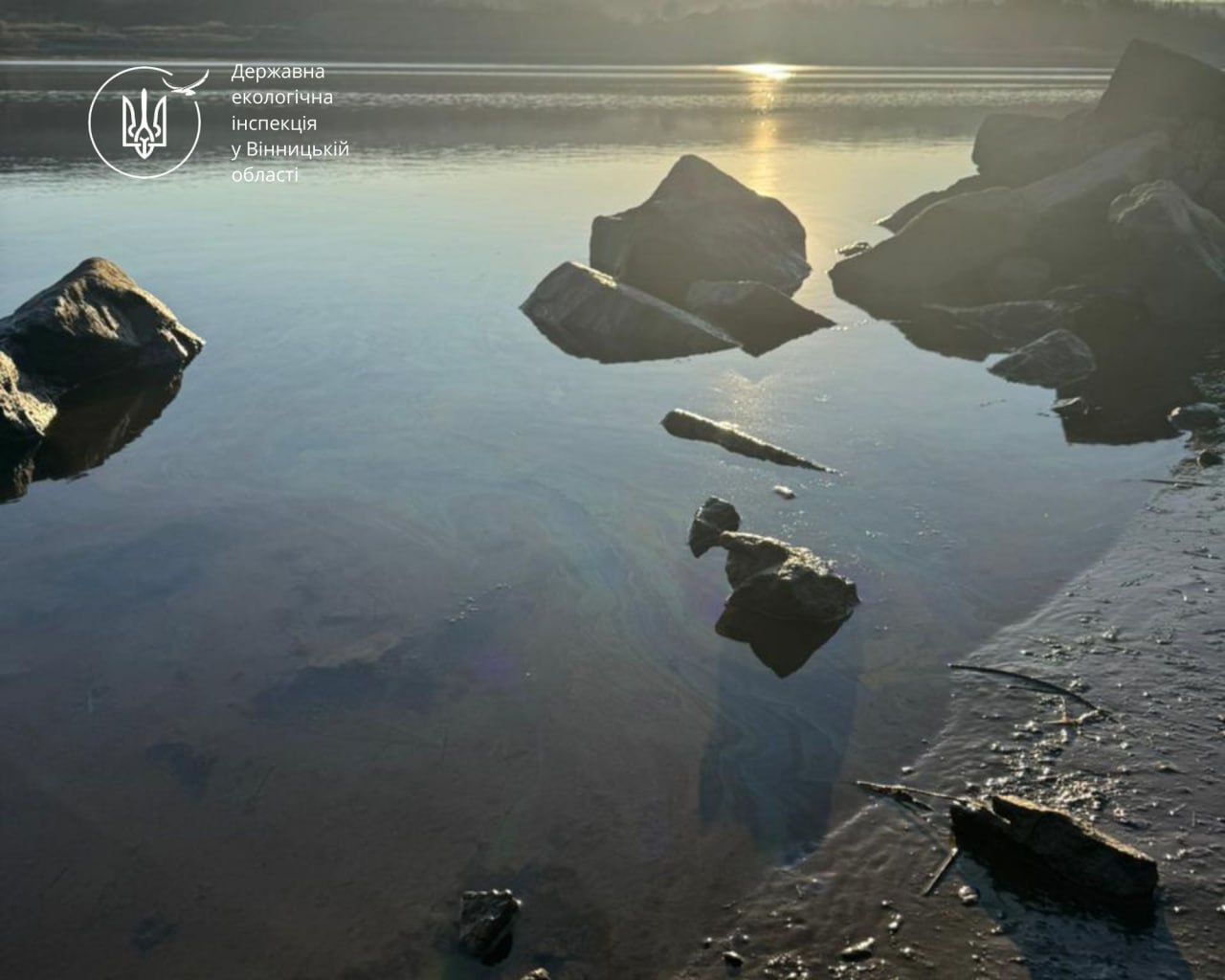 Новини Вінниці / На річці Дністер біля Могилів-Подільського виявили маслянисті плями на воді (ВІДЕО)