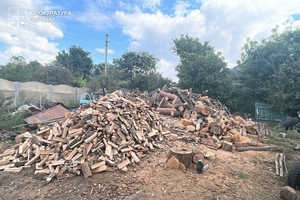 Новини Вінниці / На Вінниччині судитимуть групу «чорних лісорубів», які завдали Нацпарку «Кармелюкове Поділля» збитків на 6,5 млн грн