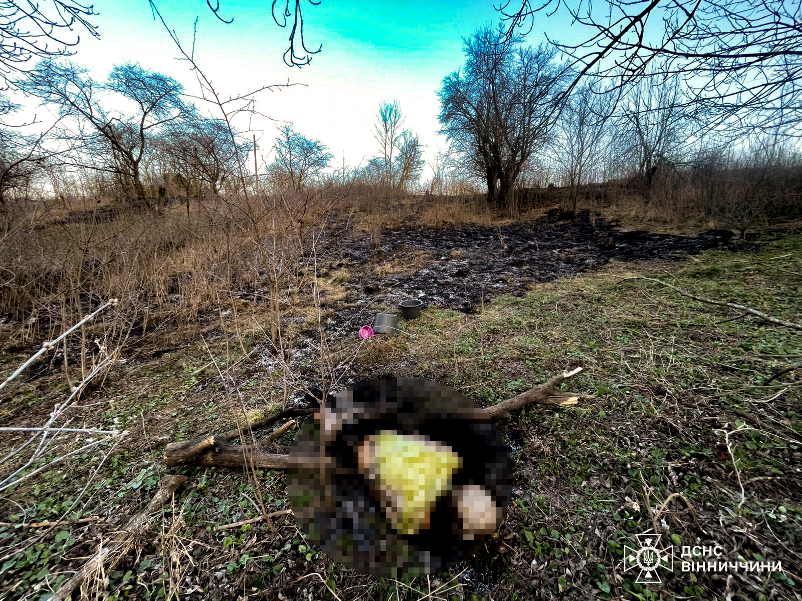 На Вінниччині загинула пенсіонерка, намагаючись загасити суху траву / Новости Винницы и области / Інформаційний портал На Париже Новини Вінниці / На Вінниччині загинула пенсіонерка, намагаючись загасити суху траву