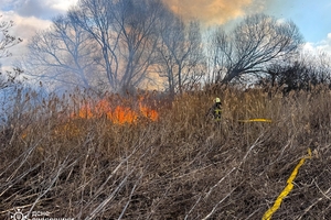 Новости Винницы и области / На Вінниччині загинула пенсіонерка, намагаючись загасити суху траву / Інформаційний портал На Париже Новини Вінниці / На Вінниччині загинула пенсіонерка, намагаючись загасити суху траву