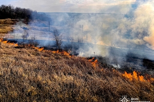 Новости Винницы и области / На Вінниччині загинула пенсіонерка, намагаючись загасити суху траву / Інформаційний портал На Париже Новини Вінниці / На Вінниччині загинула пенсіонерка, намагаючись загасити суху траву