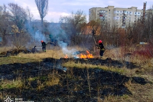 Новости Винницы и области / На Вінниччині загинула пенсіонерка, намагаючись загасити суху траву / Інформаційний портал На Париже Новини Вінниці / На Вінниччині загинула пенсіонерка, намагаючись загасити суху траву