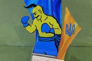 Новини Вінниці / Тріумф у ринзі: Вінницькі боксери серед найкращих на Всеукраїнському турнірі