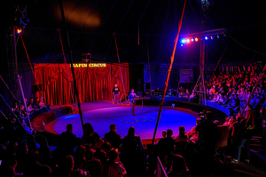 Новини Вінниці / Вінницькі діти пільгових категорій відвідали чарівний світ циркового мистецтва