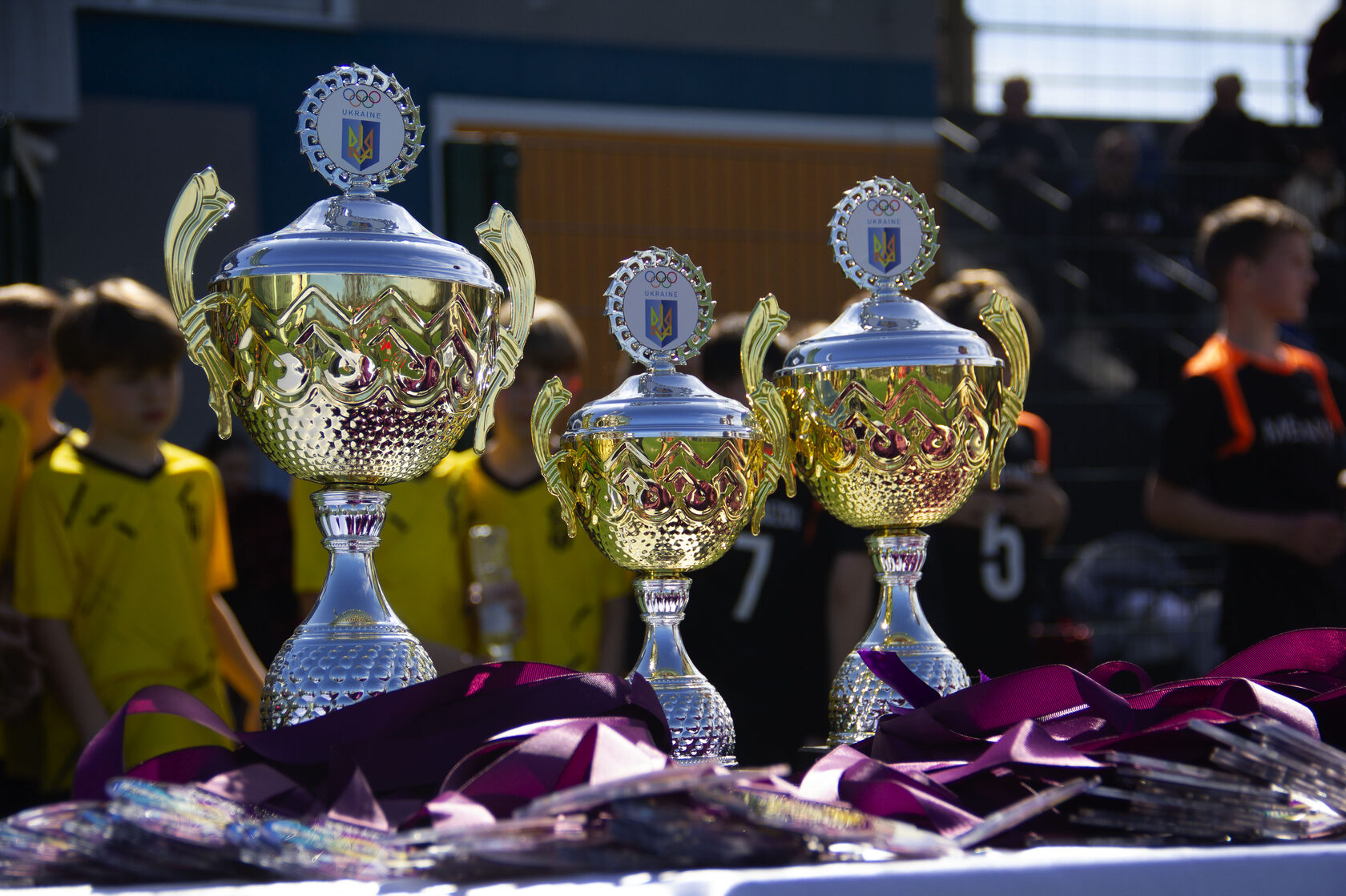 Новини Вінниці / Вінницькі спортивні школи увійшли до числа найкращих в Україні