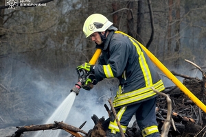 Новини Вінниці / Вогнеборці Вінниччини врятували кролика під час пожежі на природі