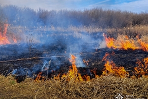 Новини Вінниці / Вогнеборці Вінниччини врятували кролика під час пожежі на природі