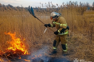 Новини Вінниці / Вогнеборці Вінниччини врятували кролика під час пожежі на природі