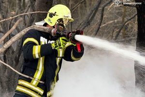 Новини Вінниці / Вогнеборці Вінниччини врятували кролика під час пожежі на природі