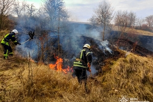 Новини Вінниці / Вогнеборці Вінниччини врятували кролика під час пожежі на природі