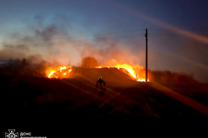 Новини Вінниці / Вогнеборці Вінниччини врятували кролика під час пожежі на природі