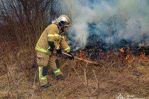 Новини Вінниці / Вогнеборці Вінниччини врятували кролика під час пожежі на природі