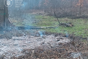 Новини Вінниці / На Вінниччині оштрафували чоловіка за спалювання залишків деревини біля лісу