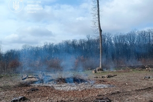 Новини Вінниці / На Вінниччині оштрафували чоловіка за спалювання залишків деревини біля лісу