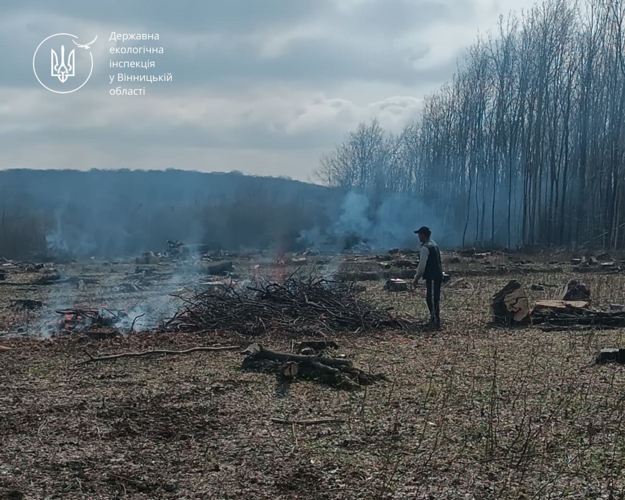 Новини Вінниці / На Вінниччині оштрафували чоловіка за спалювання залишків деревини біля лісу