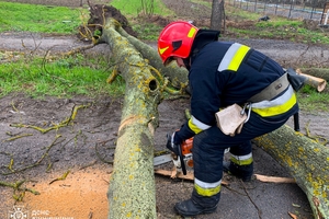 Новини Вінниці / На Вінниччині рятувальники розчищали дороги через повалені дерева (ВІДЕО)